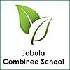 Jabula Combined School photo