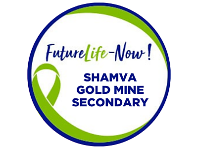 Yellow and Black Grade School Logo (9).png - Shamva Gold Mine Secondary image