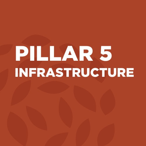 PILLAR5.png