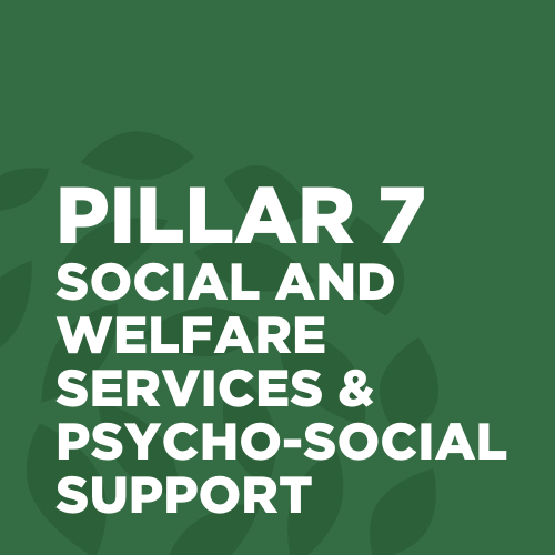 Pillar7.png