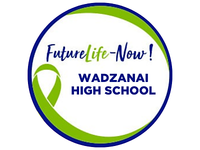 Yellow and Black Grade School Logo (14).png - Wadzanai High School image