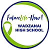Wadzanai High School photo
