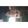 Wolfgang Booyens photo