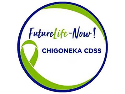 Chigoneke CDSS.png - Chigoneka CDSS image