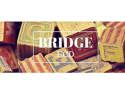 bridge ecd.JPG - BRIDGE - Early Childhood Development Community of Practice image