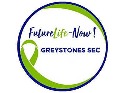 Greystones Sec.png - Greystones Sec image