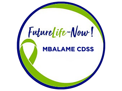 Mbalame CDSS.png - Mbalame CDSS image