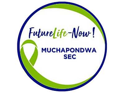Muchapondwa Sec.png - Muchapondwa Sec image