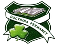 St. Patricks logo.png - St. Patrick Academy  image