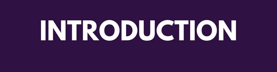 introduction.png