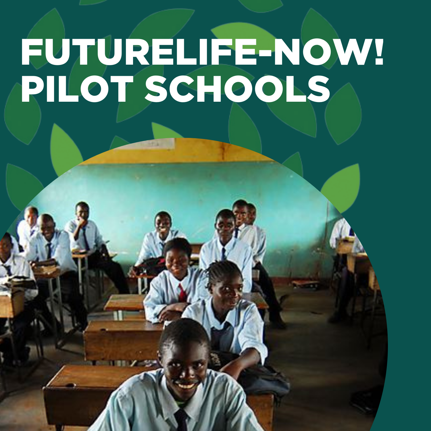 CSTL PULSE - Home - A Better Africa