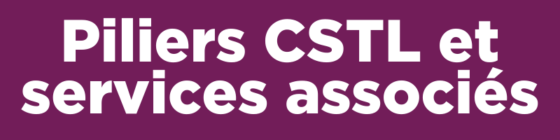 CSTL Wiki labels new (1).png